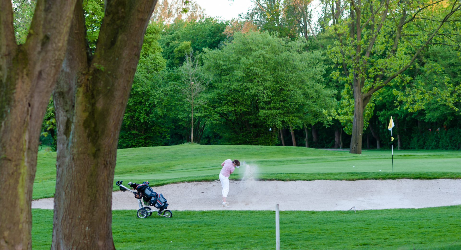 Mannschaften MünsterWilkinghege