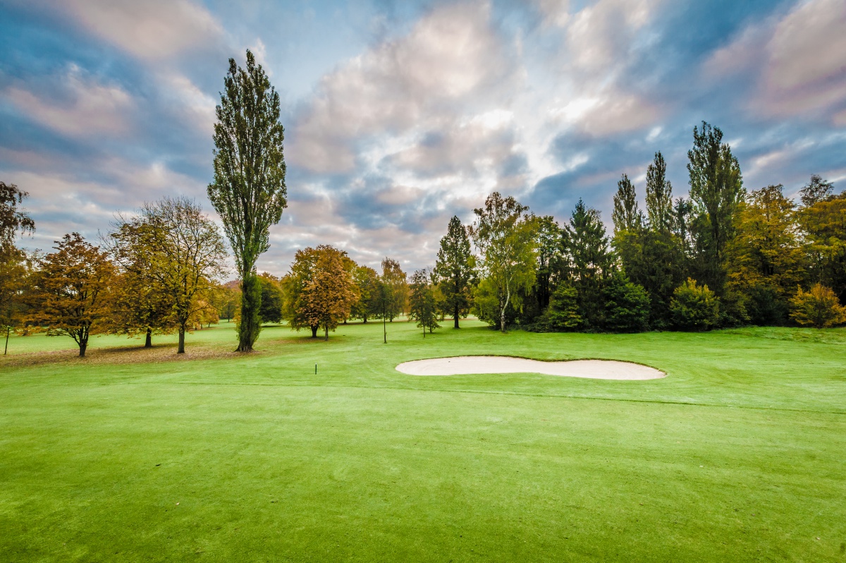 MünsterWilkinghege MünsterWilkinghege